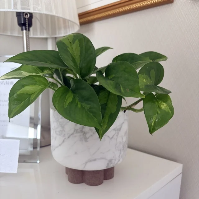 岐阜県生まれの石材プロダクトで叶える、部屋の格上げインテリア_1_4