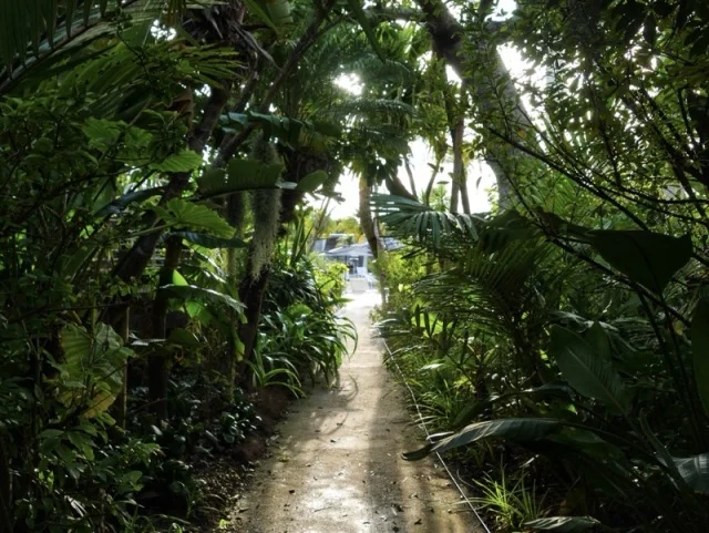   都心から70分。BOTANICAL POOL CLUBで叶える 五感が喜ぶ冬のウェルネス旅_1_6-2