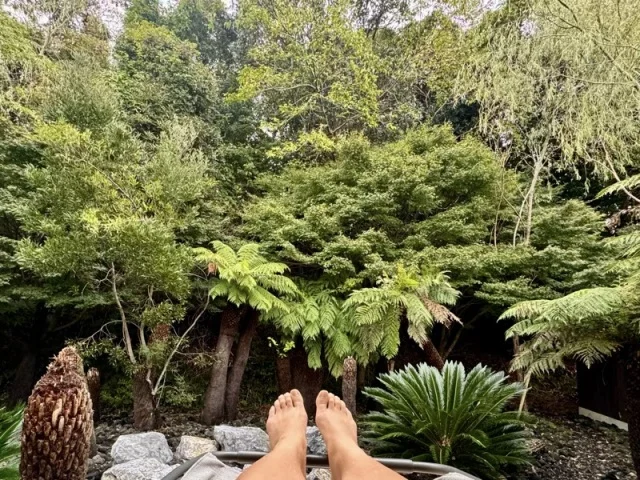   都心から70分。BOTANICAL POOL CLUBで叶える 五感が喜ぶ冬のウェルネス旅_1_22