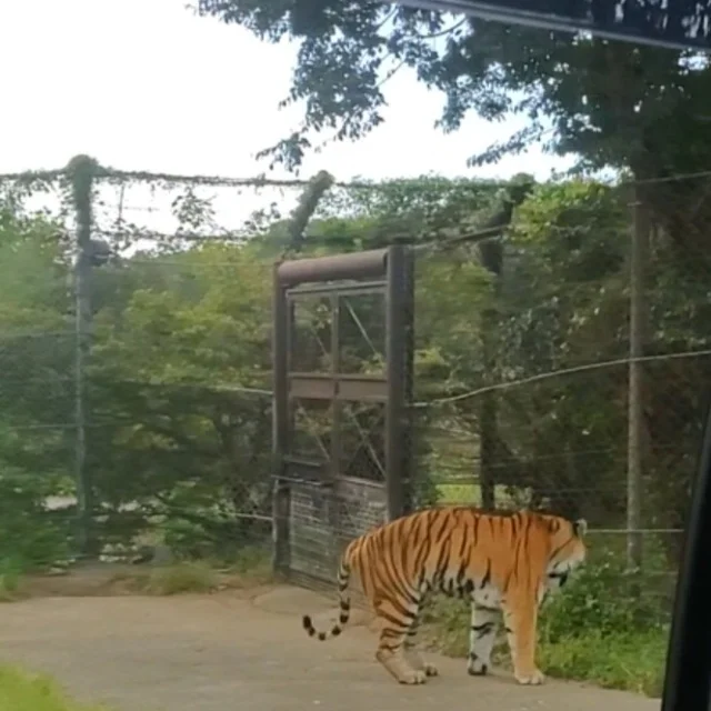 南紀白浜　アドベンチャーワールド