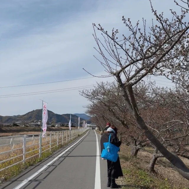 海鮮・日本酒・お茶を巡る。静岡、至福のひととき【静岡グルメ】_1_10-1