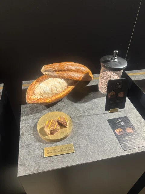 ダーク70%カカオ プラリネ