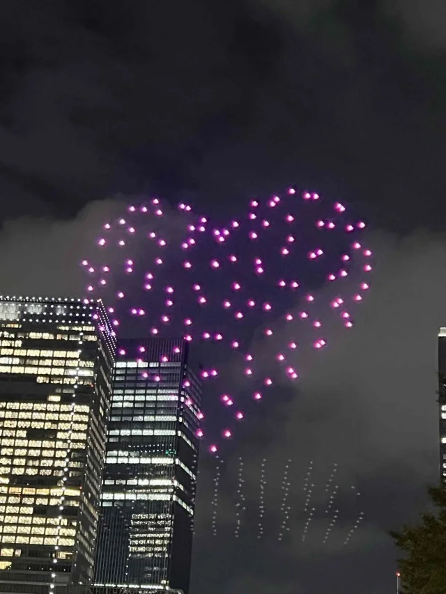 夜空を彩るシークレットショー