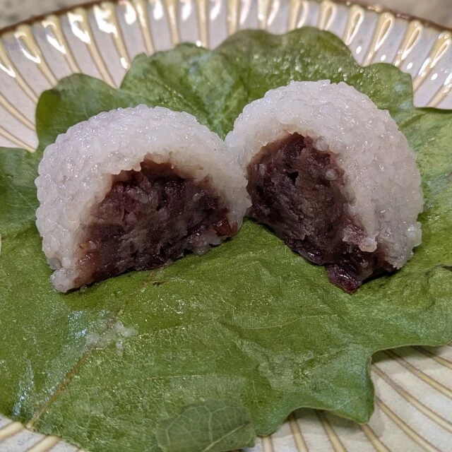 【あん活のススメ⑦】季節の和菓子を食べよう!〜柏餅編〜_1_11