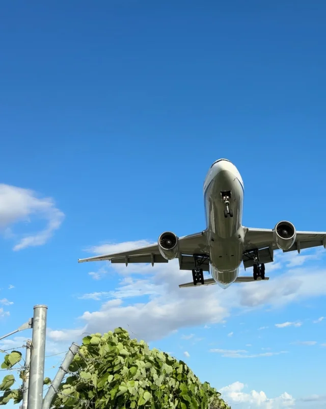 千里川土手　伊丹空港