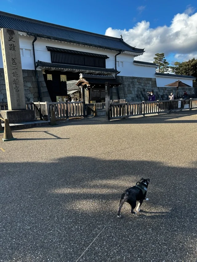 【京都】気軽に愛犬ファーストなホテルステイ_1_8