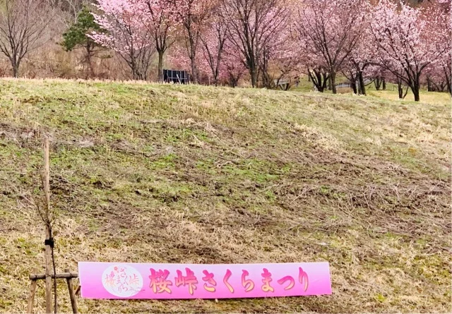 福島県でおすすめの『桜の名所』①_1_3