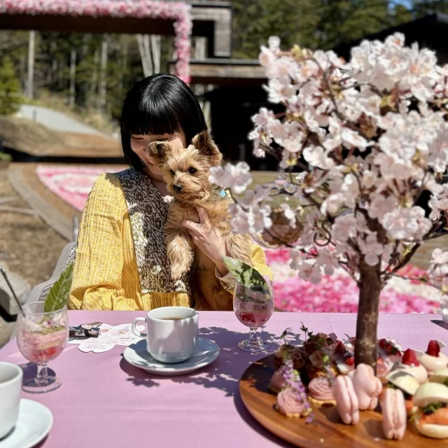 花咲くカーペットを眺めながら楽しむ“お花見団子アフタヌーンティー”_1_12