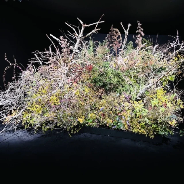 Boucheron、ブシュロン、ブシュロン展