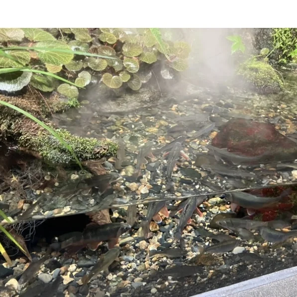 秋のお出掛けにもぴったりな京都水族館🦭_1_2-3