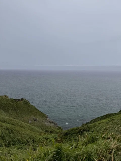 旬のウニを求めて積丹半島～ 2日目：旅はセレンディピティ～_1_14