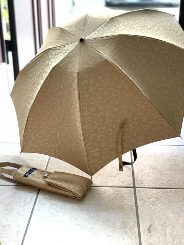 日傘を買い替え_1_1