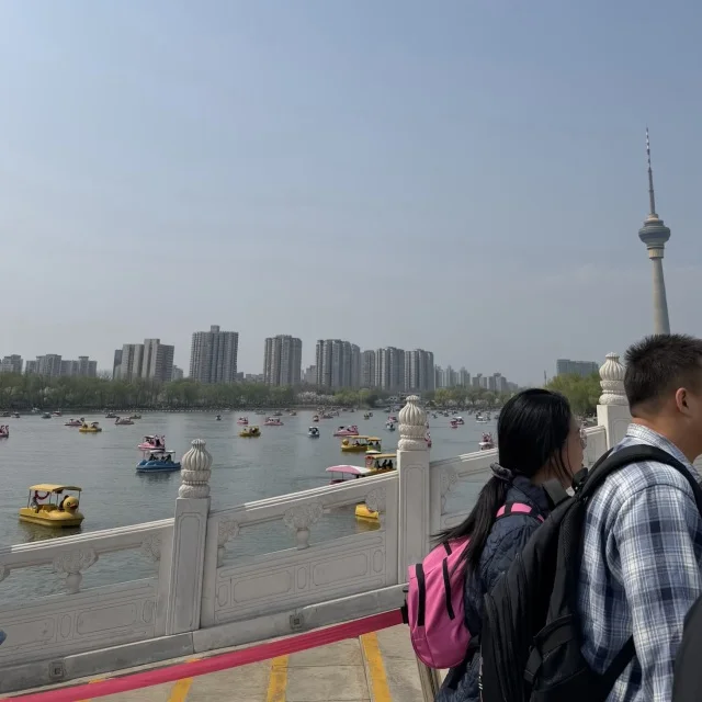 北京の春は一瞬！田中角栄首相が贈った桜に会いに「玉淵潭公園」へ_1_4-3