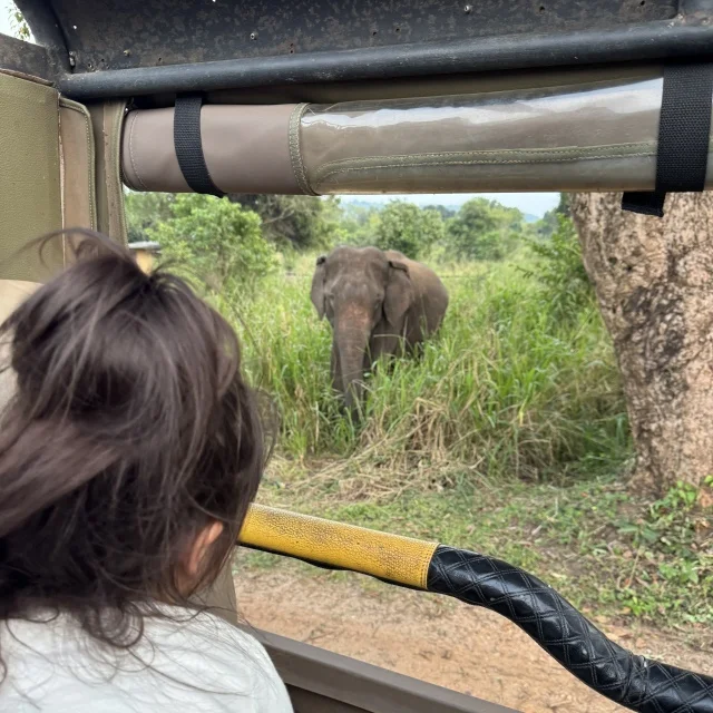 「騙された！ジープサファリで起きた想定外の出来事【スリランカ旅行②】」_1_5