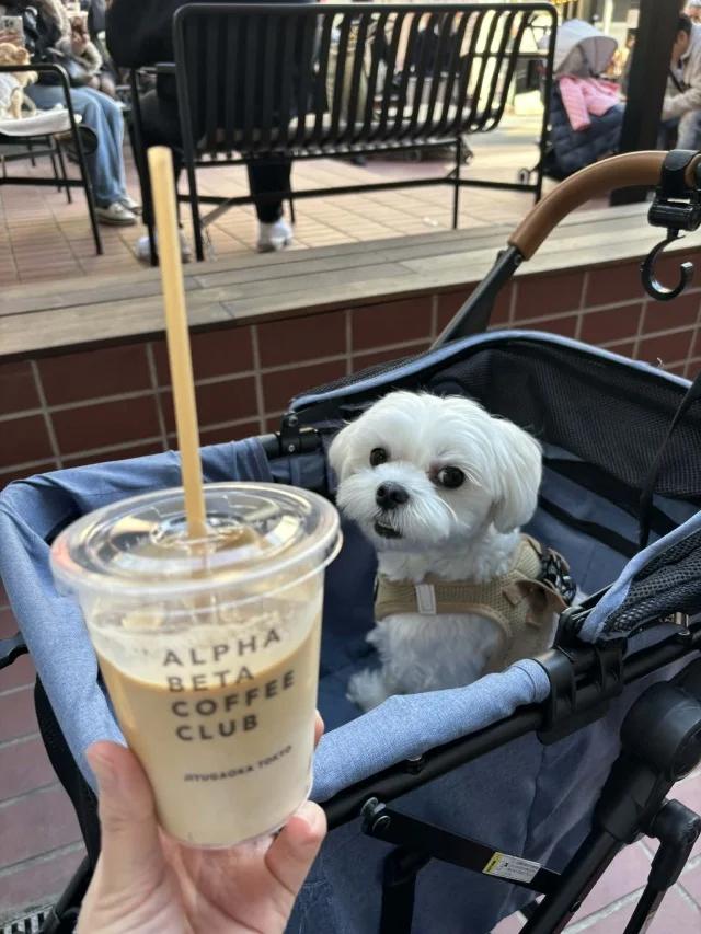 【都内超穴場！カフェ４選】ランチ後“２軒目”にもオススメ♡_1_9-2