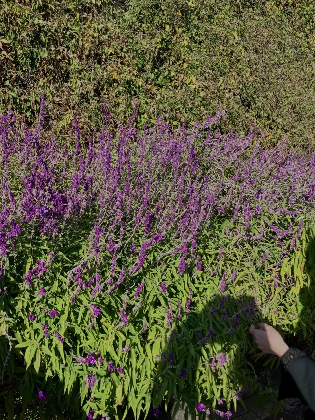 神戸で見つけた、香りに包まれる癒しの場所_1_2-1