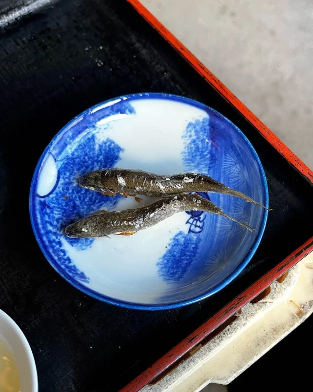 【ザコトラ商店】最高の酒と肴を味わう京都グルメの新名所_1_8