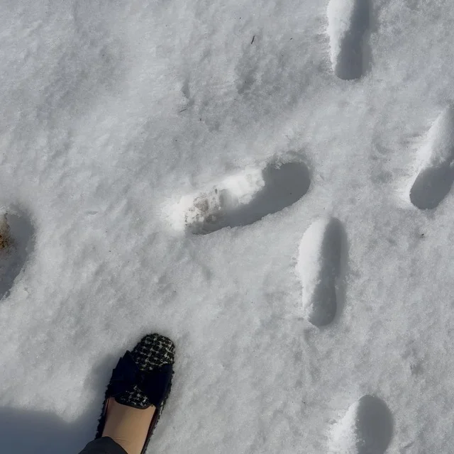 親子で楽しめる♪ザ・リッツ・カールトン日光の旅②〜ホテル編〜_1_18-1