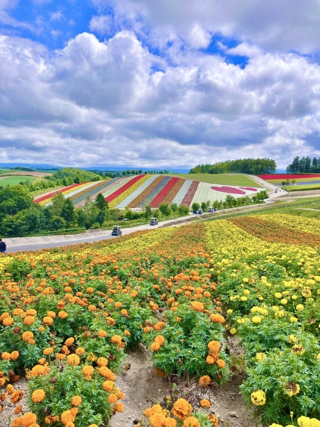 北海道を感じるならやっぱり富良野！地元民オススメのグルメ巡り_1_8