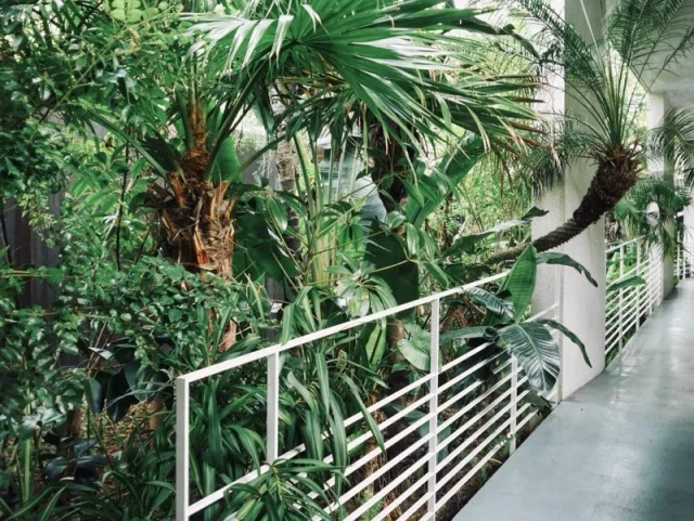   都心から70分。BOTANICAL POOL CLUBで叶える 五感が喜ぶ冬のウェルネス旅_1_5-3