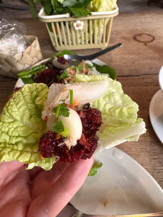 チェンマイで挑んだ禁断の一皿、【生肉のラープ】実食の記録。_1_13