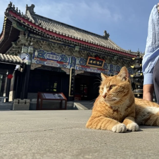 【山東省旅行】書聖・王羲之の生家で見つけた、我ながら会心のお土産
