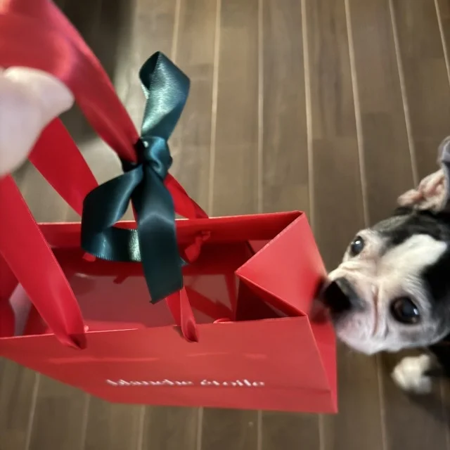 12月の始まりに。大人をときめかせる“赤”のクリスマスコフレ_1_2-2