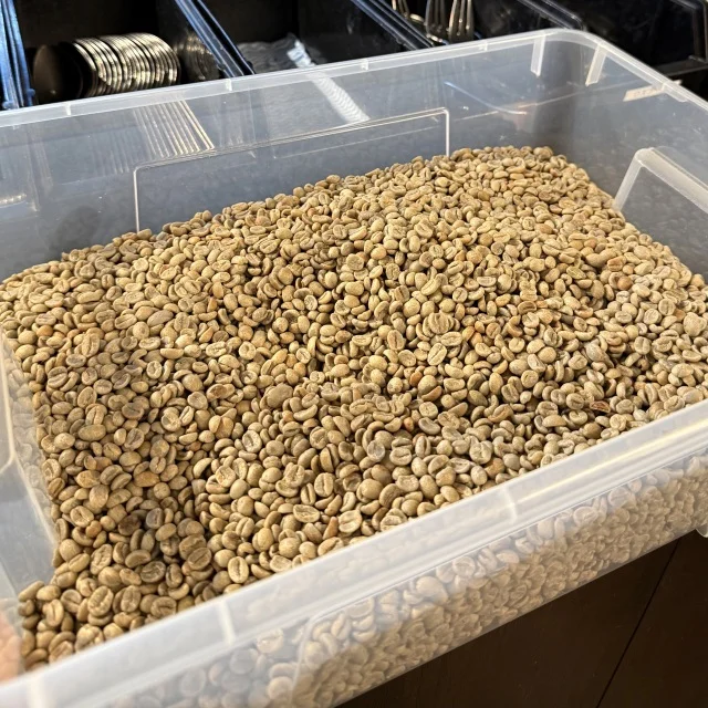 海沿いの散策とモーニングで楽しむ横浜【朝活編】_1_9-2