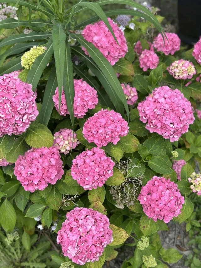 自然の絶景に心洗われる週末!山中湖リトリート!_1_7