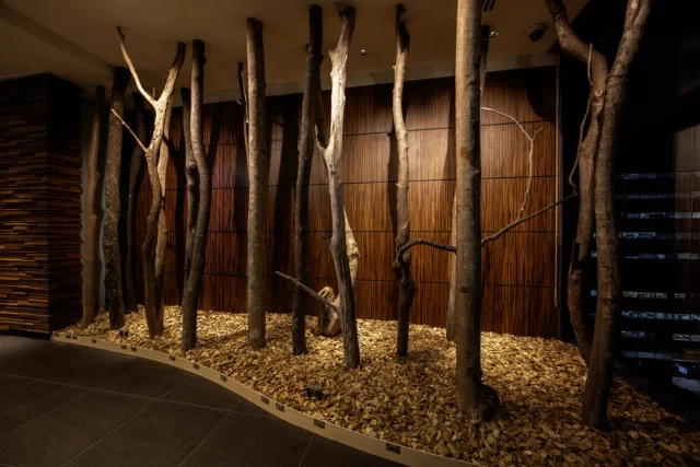 エレベーターホール