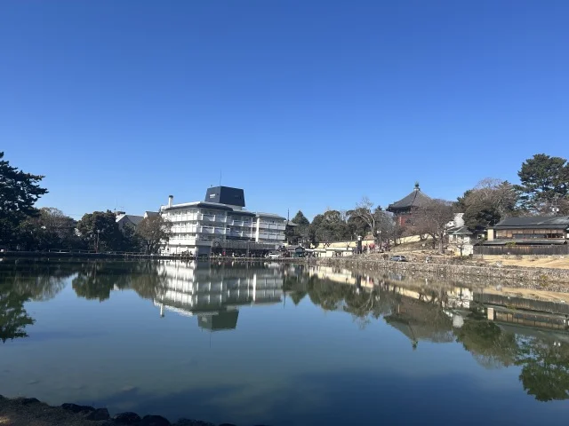 帰りは「猿沢池」で五重塔と柳で