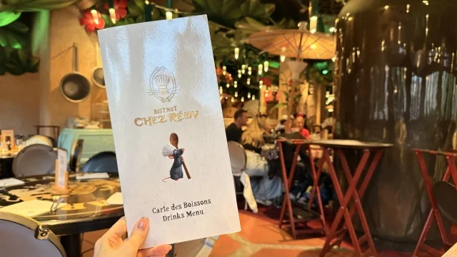 パリ旅行⑤｜ディズニーランドパリへ！混雑・グルメ・アトラクションの違いが面白い_1_4