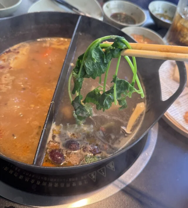 雲南　キノコ鍋　望滇山