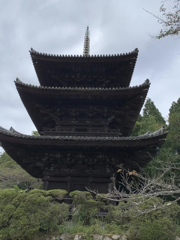400年以上の歴史ある「妙厳院」を改装した宿坊 「和空 三井寺」。一棟貸切の完全プライベート空間で至高のひと時を過ごしました。_1_13-2