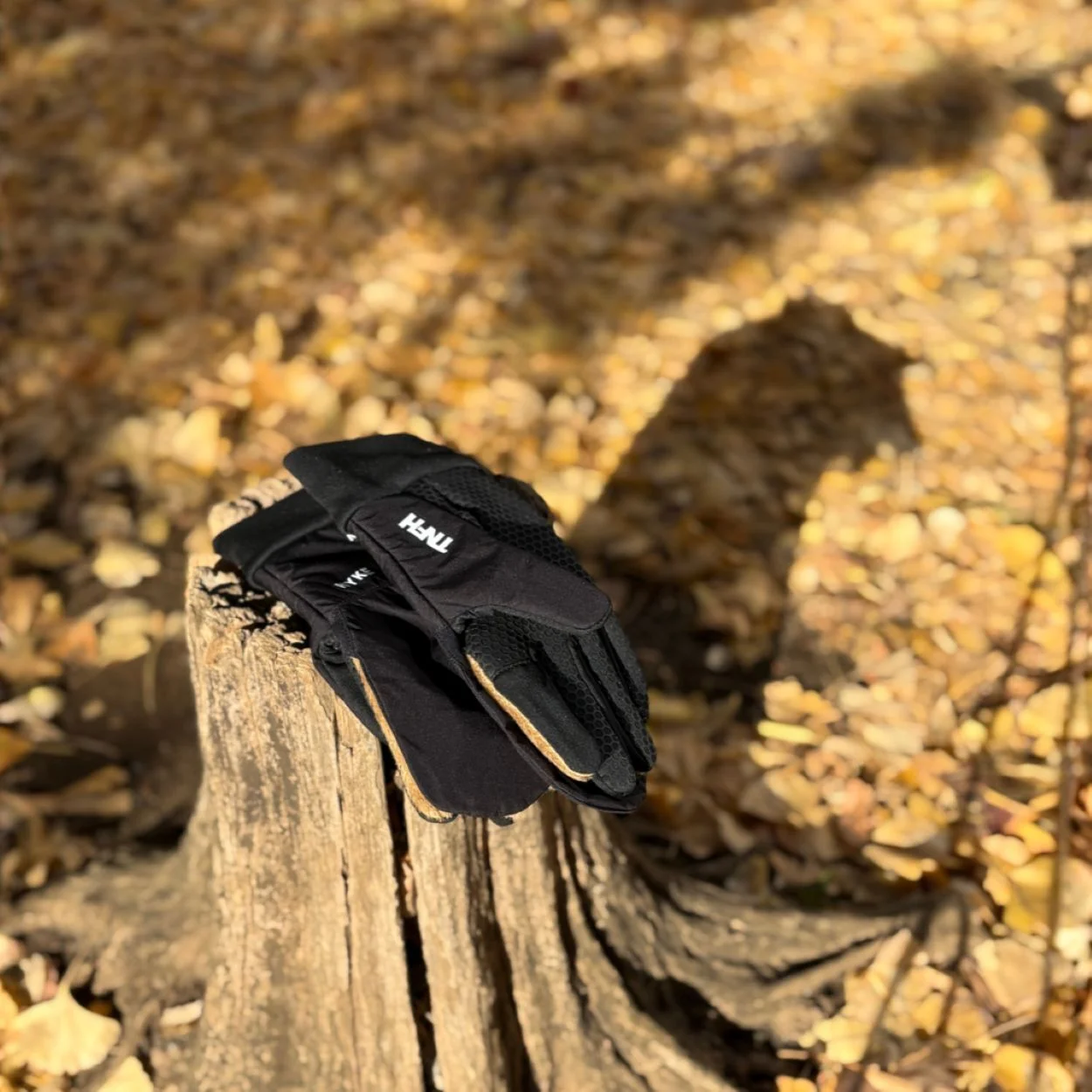 ザ ノースフェイス× ハイクのグローブ