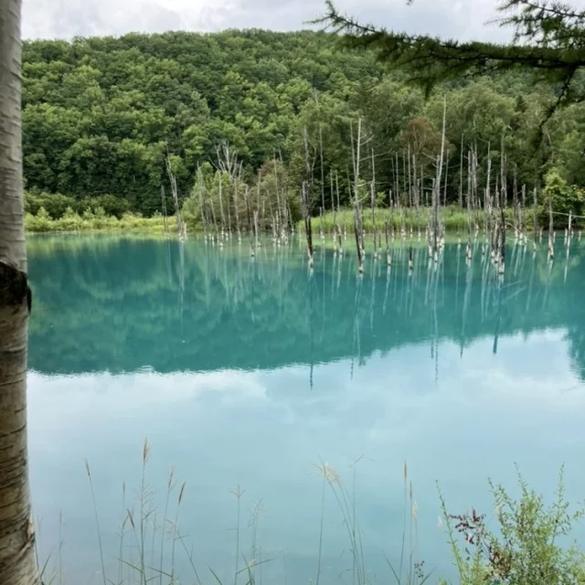 夏の北海道　家族旅 \3日目　富良野編/_1_2-1