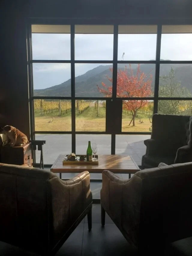 大人の冬旅まとめ。美女組が行ってよかった温泉・美食・海外_1_12