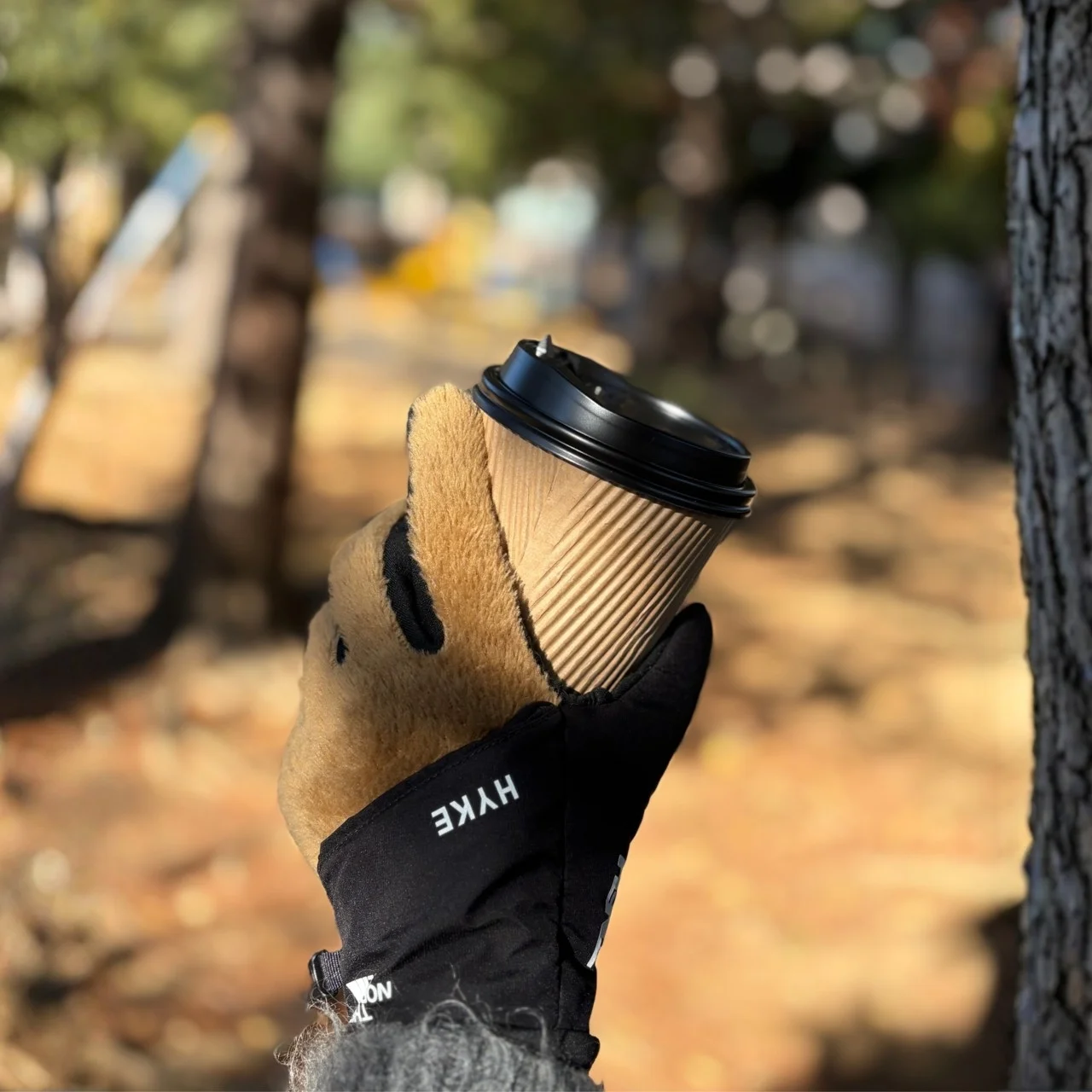 ザ ノースフェイス× ハイクのグローブ