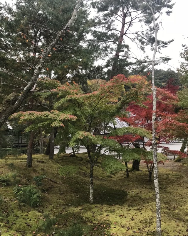 ゆき散歩。京都の紅葉と言えば南禅寺。１５年ぶりに行ってきました！_1_4-2