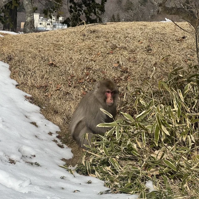 親子で楽しめる♪ザ・リッツ・カールトン日光の旅②〜ホテル編〜_1_18-3
