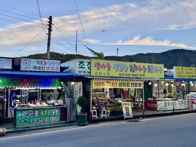 椒井 清州　炭酸泉　鉱泉