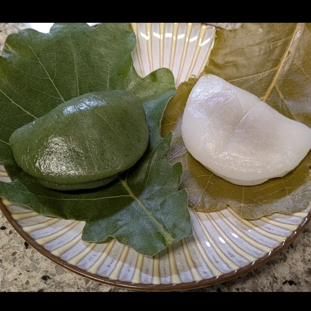 【あん活のススメ⑦】季節の和菓子を食べよう!〜柏餅編〜_1_14