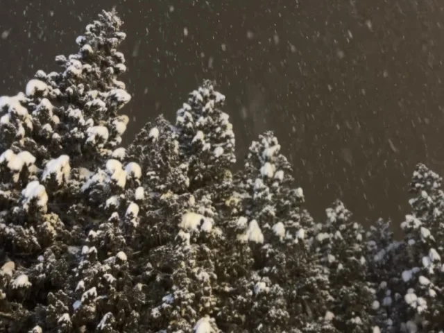 五感を育てる日帰り旅〜雪あそびで旅育〜_1_2-1