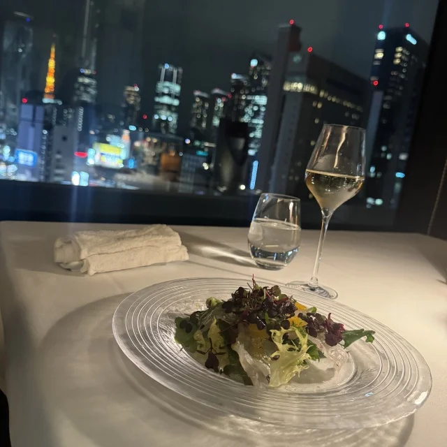 【ホテル ザ セレスティン銀座】大人のご褒美ステイ_1_11-1