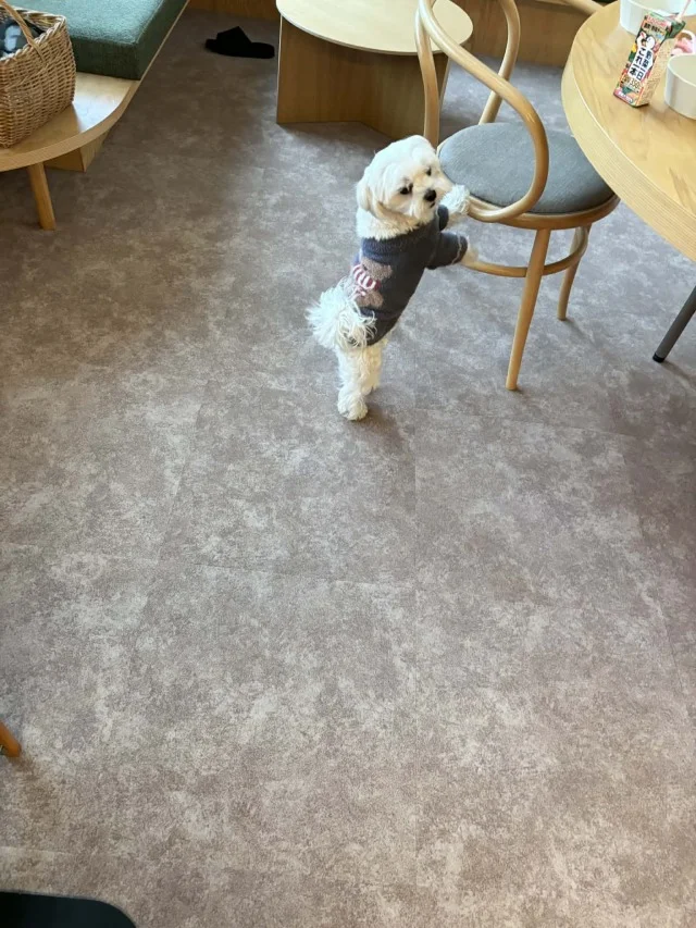 シェア別荘【SANU 2nd Home】お誕生日＆結婚記念日旅行記_1_7-1