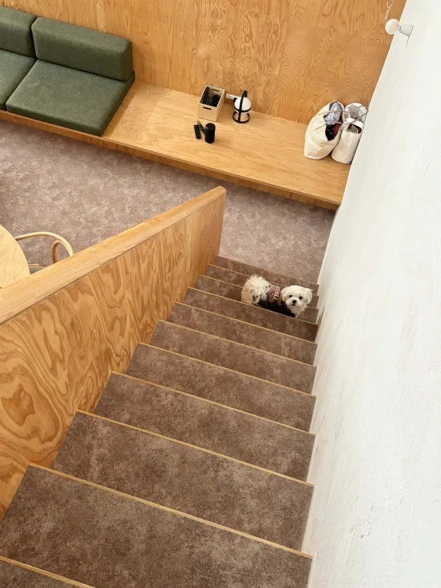 シェア別荘【SANU 2nd Home】お誕生日＆結婚記念日旅行記_1_20-2