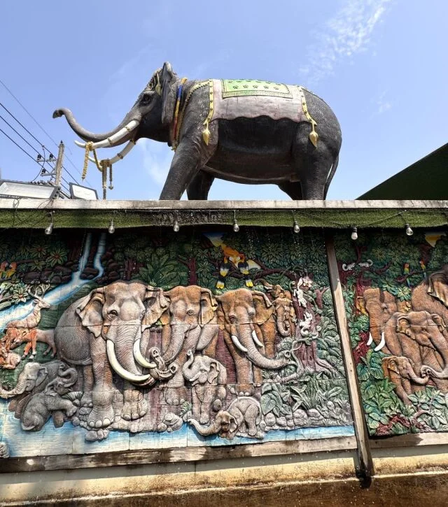 チェンマイ　ゾウ