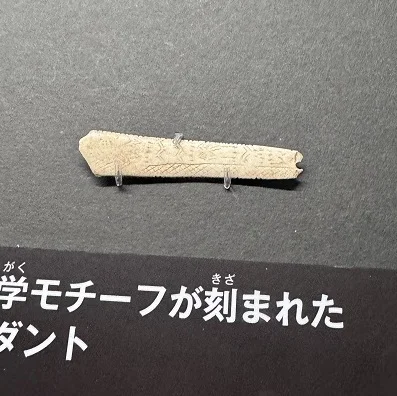 氷河期展