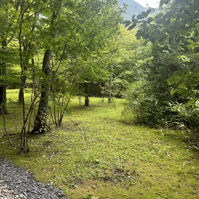 愛犬と泊まれる宿！星野リゾート　界　鬼怒川に宿泊_1_4