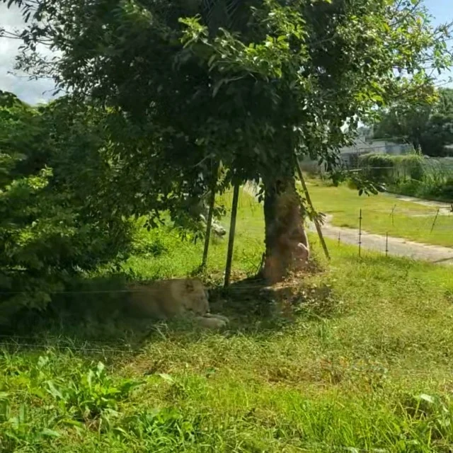 パンダも歴史も温泉も大満喫した和歌山・南紀白浜２泊3日家族旅行_1_7-3